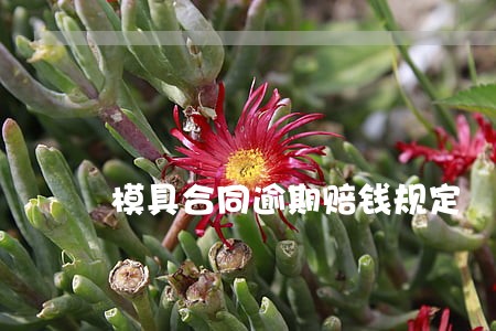 模具合同逾期赔钱规定 模具合同逾期赔钱规定