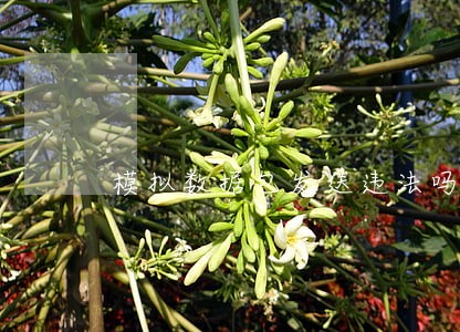 模拟数据包发送违法吗 模拟数据包发送违法吗