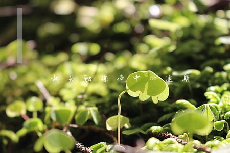 横县融媒体中心逾期 横县融媒体中心逾期