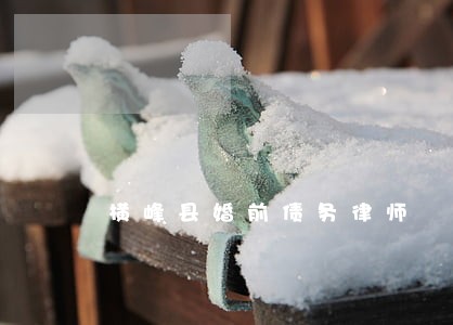 横峰县婚前债务律师 横峰县婚前债务律师