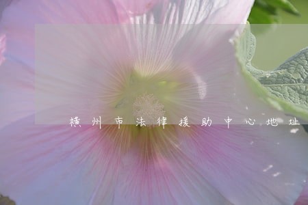 横州市法律援助中心地址 横州市法律援助中心地址