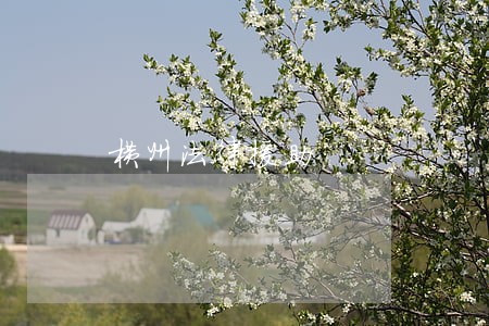 横州法律援助 横州法律援助