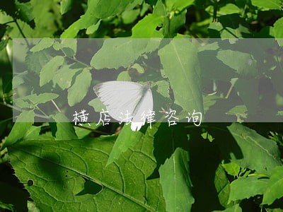 横店法律咨询
