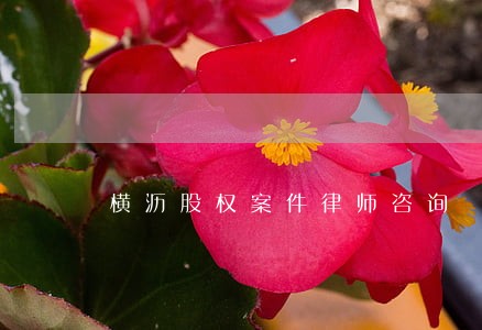横沥股权案件律师咨询 横沥股权案件律师咨询