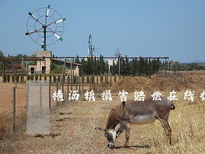 横沥镇损害赔偿在线律师 横沥镇损害赔偿在线律师