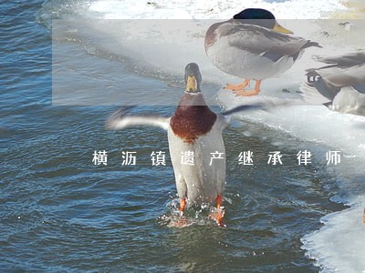 横沥镇遗产继承律师