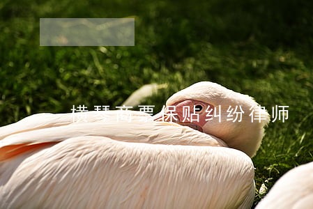 横琴商票保贴纠纷律师 横琴商票保贴纠纷律师