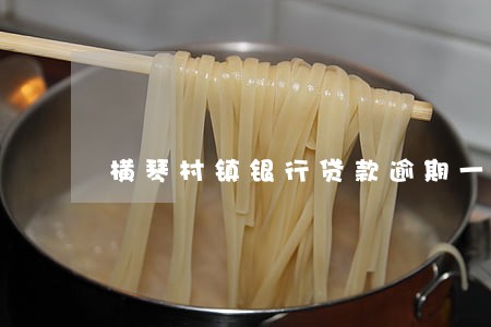横琴村镇银行贷款逾期一天 横琴村镇银行贷款逾期一天