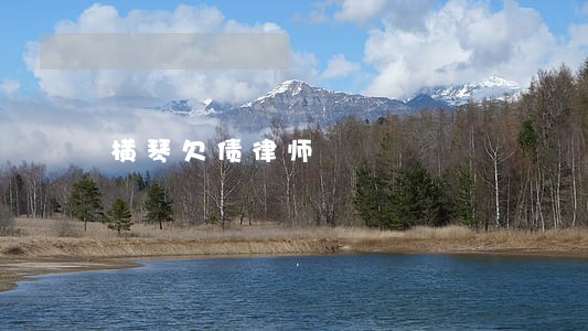 横琴欠债律师 横琴欠债律师
