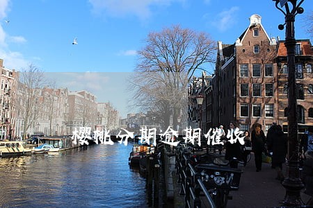 樱桃分期逾期催收 樱桃分期逾期催收