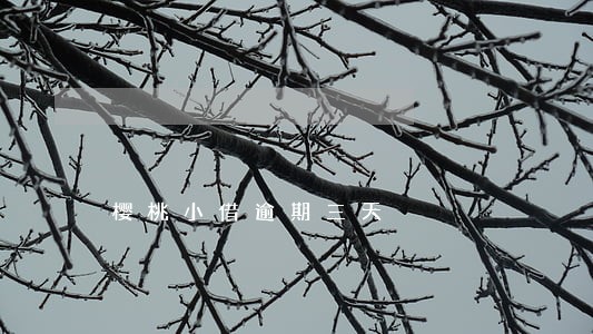 樱桃小借逾期三天 樱桃小借逾期三天