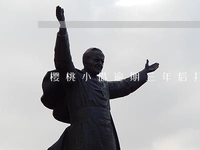 樱桃小借逾期三年后打电话 樱桃小借逾期三年后打电话