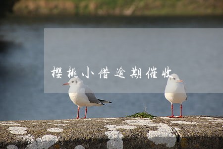 樱桃小借逾期催收 樱桃小借逾期催收
