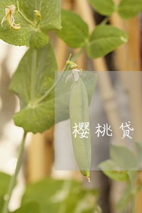 樱桃贷逾期报案 樱桃贷逾期报案