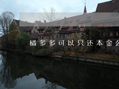 橘多多可以只还本金么 橘多多可以只还本金么