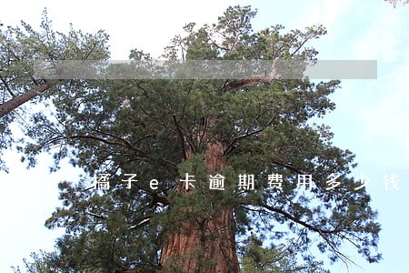 橘子e卡逾期费用多少钱 橘子e卡逾期费用多少钱