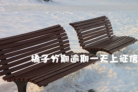橘子分期逾期一天上征信吗 橘子分期逾期一天上征信吗