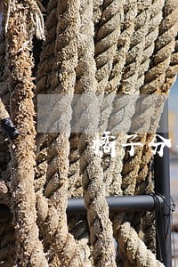 橘子分期逾期一天有什么影响 橘子分期逾期一天有什么影响