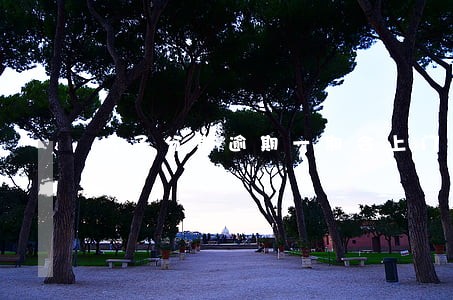 橘子分期逾期一期会上门收款不 橘子分期逾期一期会上门收款不