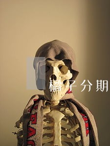 橘子分期逾期两天会怎样 橘子分期逾期两天会怎样