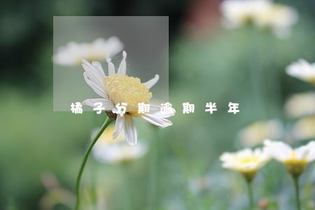 橘子分期逾期半年 橘子分期逾期半年