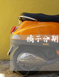 橘子分期逾期如何催收 橘子分期逾期如何催收