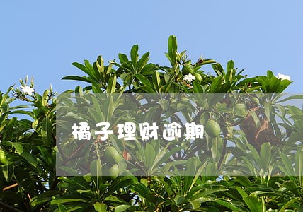 橘子理财逾期 橘子理财逾期