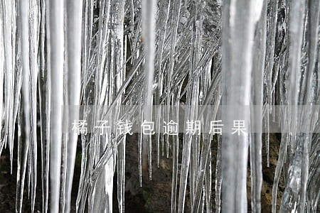 橘子钱包逾期后果 橘子钱包逾期后果