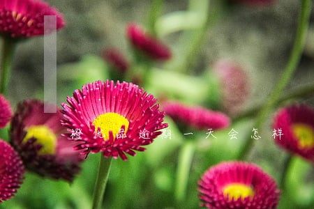 橙优品逾期一天会怎样