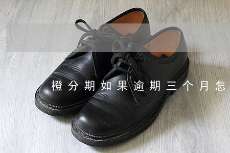 橙分期如果逾期三个月怎么办 橙分期如果逾期三个月怎么办