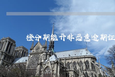 橙分期能开非恶意逾期证明吗 橙分期能开非恶意逾期证明吗