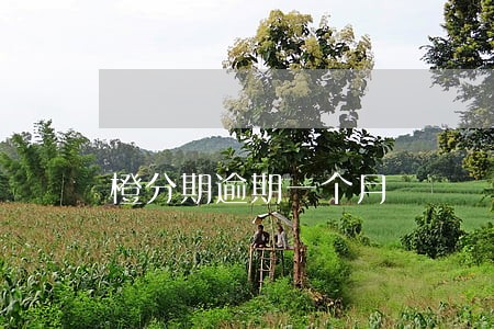 橙分期逾期一个月 橙分期逾期一个月