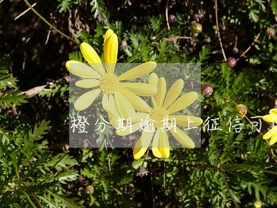 橙分期逾期上征信可以消除么 橙分期逾期上征信可以消除么
