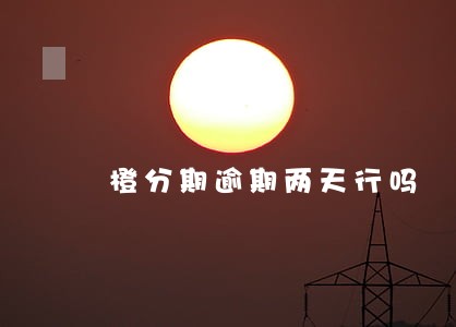 橙分期逾期两天行吗 橙分期逾期两天行吗