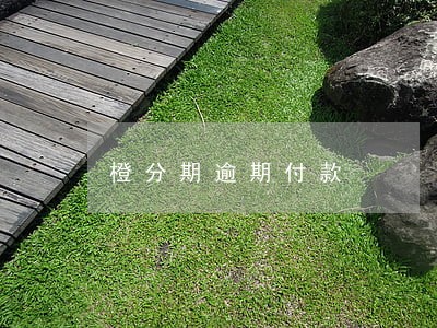 橙分期逾期付款 橙分期逾期付款