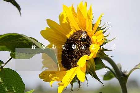 橙分期逾期会上门吗 橙分期逾期会上门吗