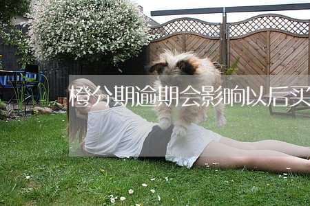 橙分期逾期会影响以后买房么 橙分期逾期会影响以后买房么