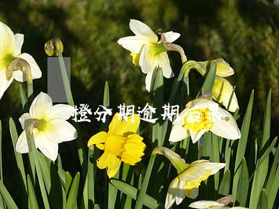 橙分期逾期后果 橙分期逾期后果