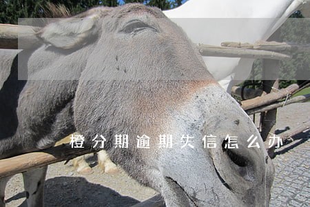橙分期逾期失信怎么办 橙分期逾期失信怎么办