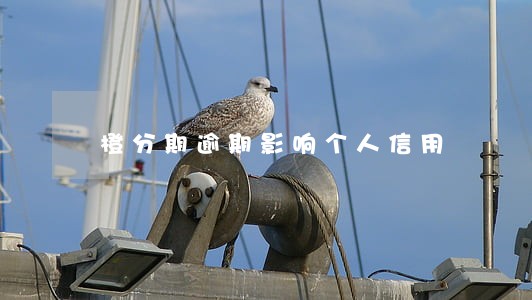 橙分期逾期影响个人信用 橙分期逾期影响个人信用