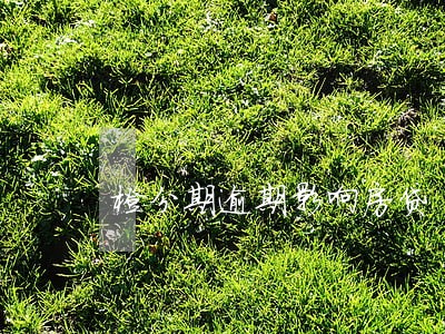 橙分期逾期影响房贷