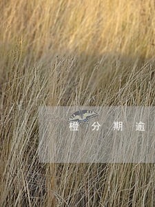 橙分期逾期怎么撤销逾期记录 橙分期逾期怎么撤销逾期记录