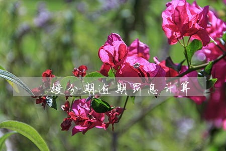 橙分期逾期罚息计算 橙分期逾期罚息计算