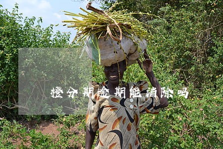 橙分期逾期能消除吗 橙分期逾期能消除吗