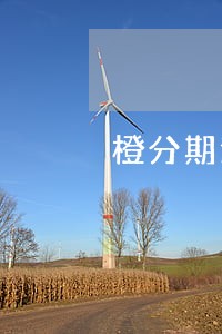 橙分期逾期记录 橙分期逾期记录