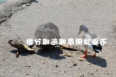 橙分期逾期费用能退不 橙分期逾期费用能退不