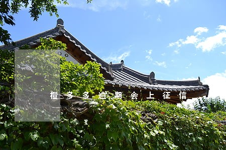 橙多多逾期会上征信 橙多多逾期会上征信