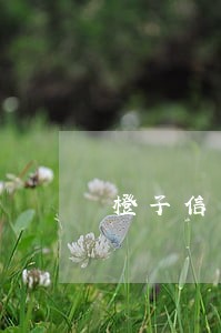 橙子信用可以查信用卡逾期吗 橙子信用可以查信用卡逾期吗