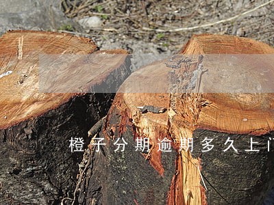 橙子分期逾期多久上门 橙子分期逾期多久上门