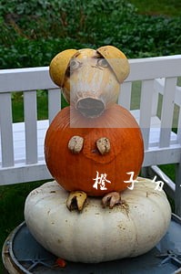 橙子分期逾期案例